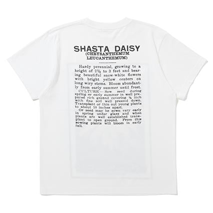 25 SS FLOWER SEEDS TEE / SHASTA DAISY