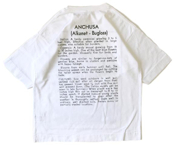 FLOWER SEEDS TEE / ANCHUSA