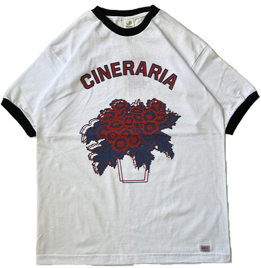 Potted Ringer - Cineraria/Red