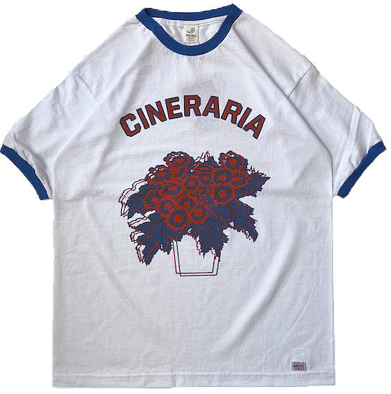 Potted Ringer - Cineraria/Red