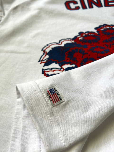 Potted Ringer - Cineraria/Red