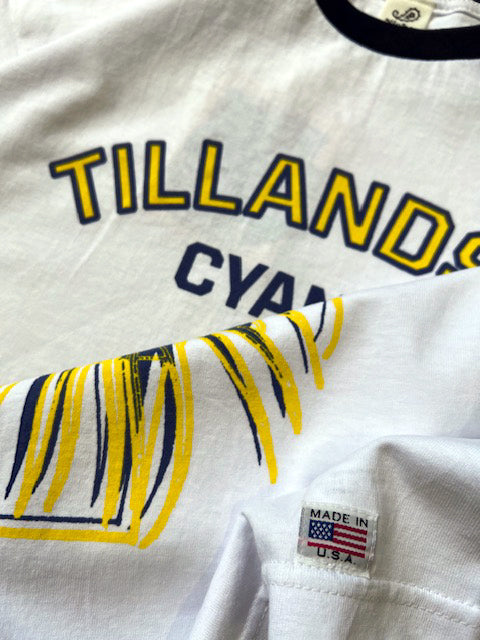 Potted Ringer - Tillandsia/Red